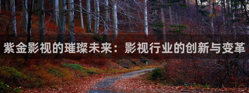 秋霞理论电影免费观看：紫金影视的璀璨未来：影视行业的创新与变革