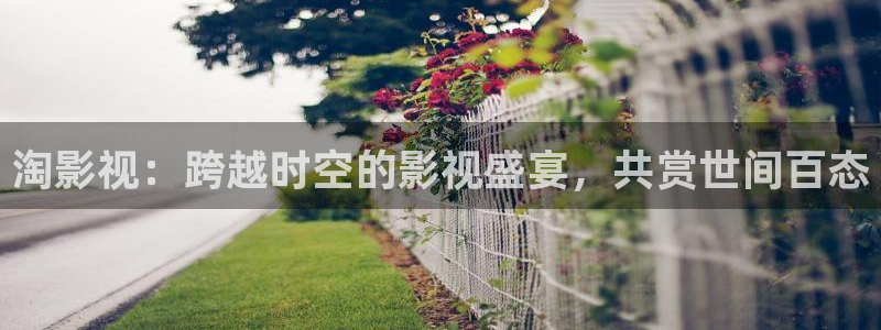 日韩欧美理论电影：淘影视：跨越时空的影视盛宴，共赏世间百态