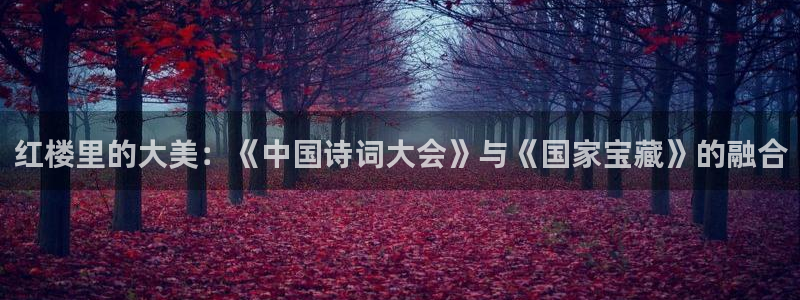 欧美理论大片在线播放