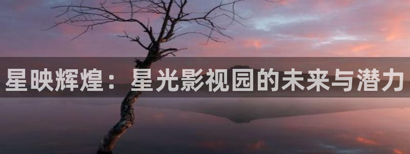 看免费理论电影