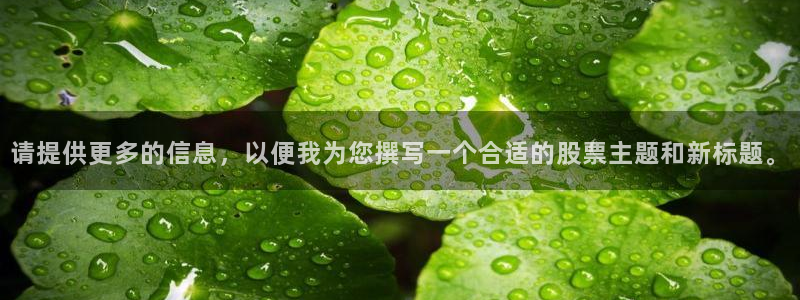 在线观看理论电影