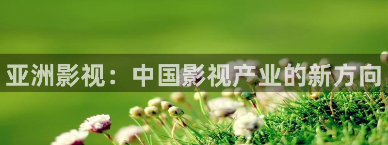 理论电影大全免费：亚洲影视：中国影视产业的新方向