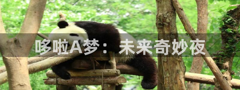 四虎影院理论：哆啦A梦：未来奇妙夜