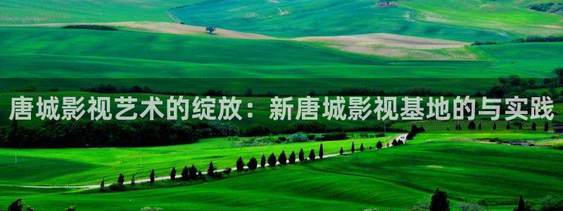 6080理论电影在线：唐城影视艺术的绽放：新唐城影视基地的与实践