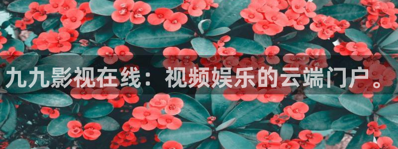 511影院韩国理论片：九九影视在线：视频娱乐的云端门户。