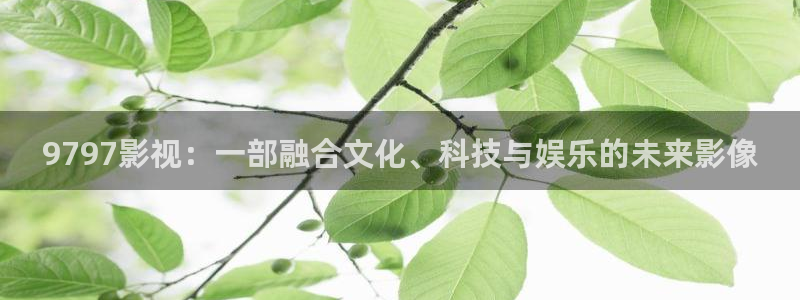 万物理论电影完整版：9797影视：一部融合文化、科技与娱乐的未来影像